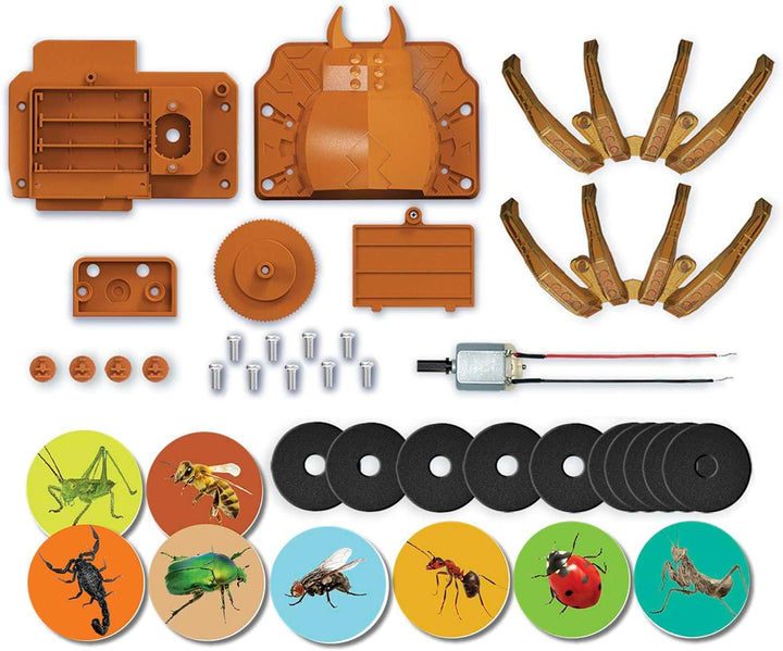 Juego STEM Científico Construcción Robot Araña Para Niños