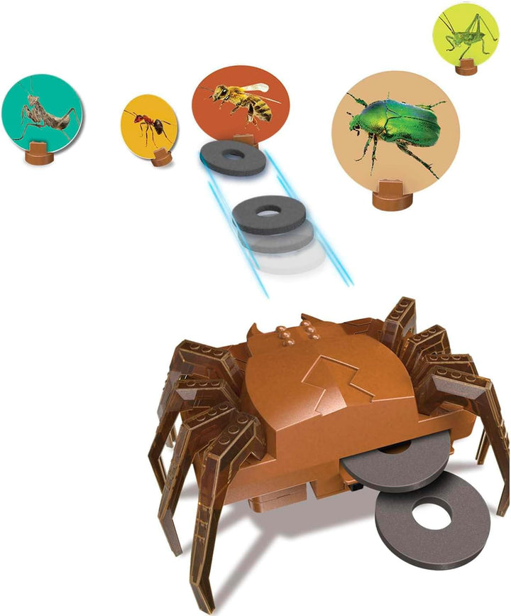 Juego STEM Científico Construcción Robot Araña Para Niños