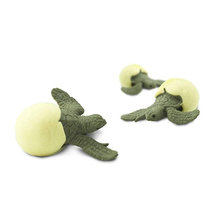 Figura Coleccionable Huevos De Tortugas Marinas Safari Para Niños