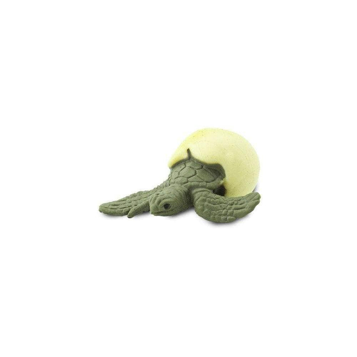 Figura Coleccionable Huevos De Tortugas Marinas Safari Para Niños