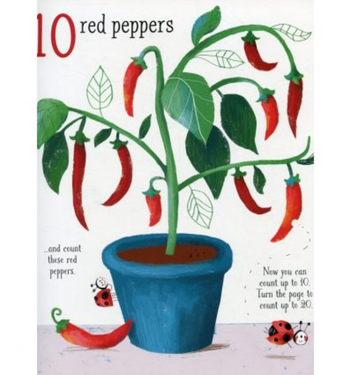 Libro Educativo ilustrado Count To 100 Para Niños