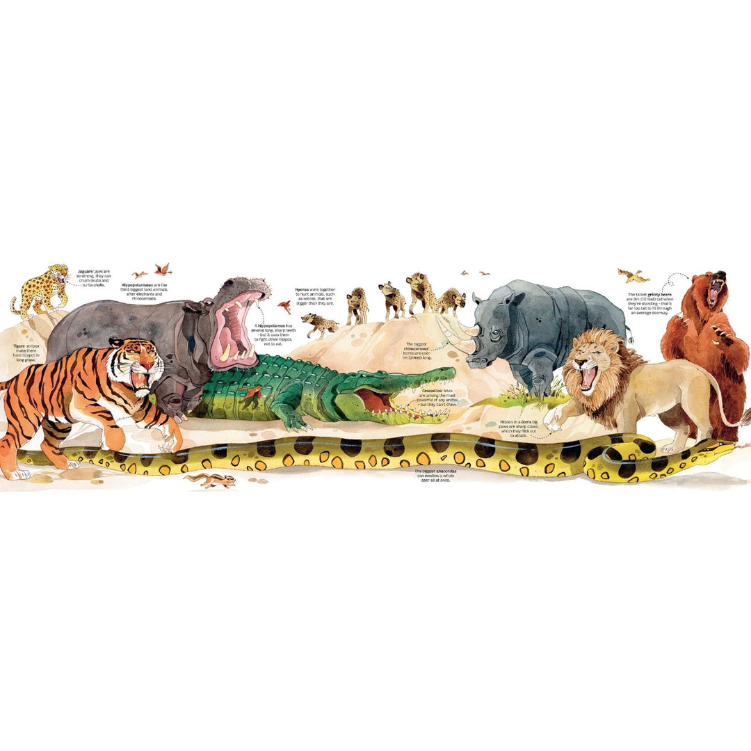 Libro Didáctico Desplegable de Animales Para Niños