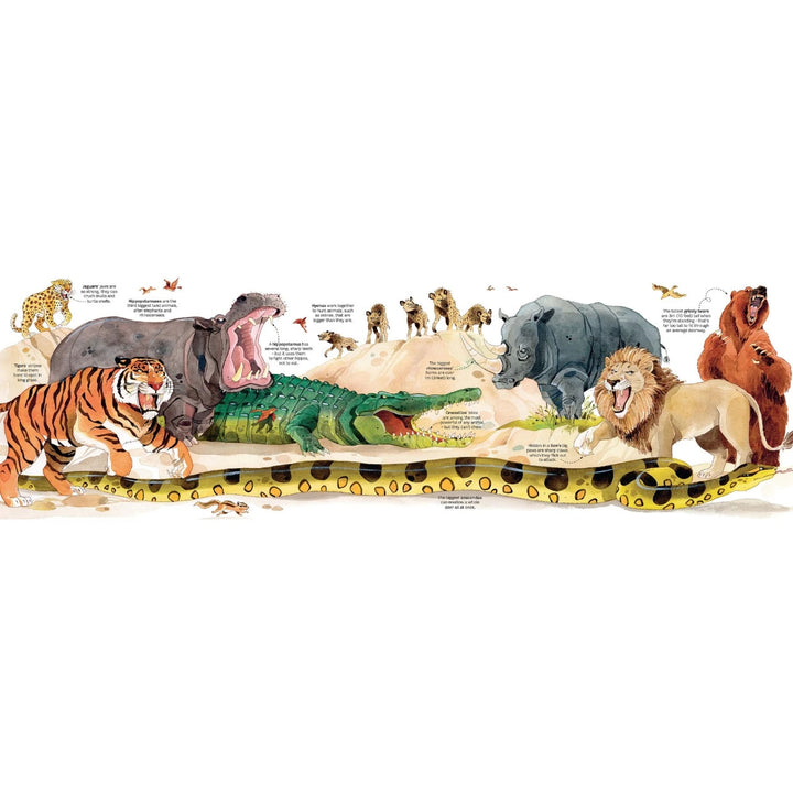 Libro Didáctico Desplegable de Animales Para Niños