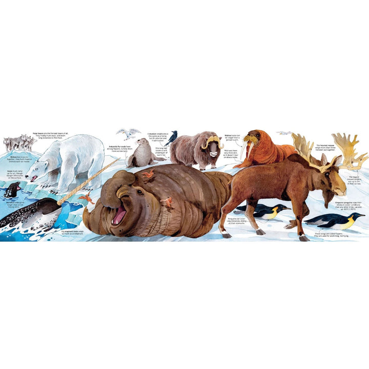 Libro Didáctico Desplegable de Animales Para Niños