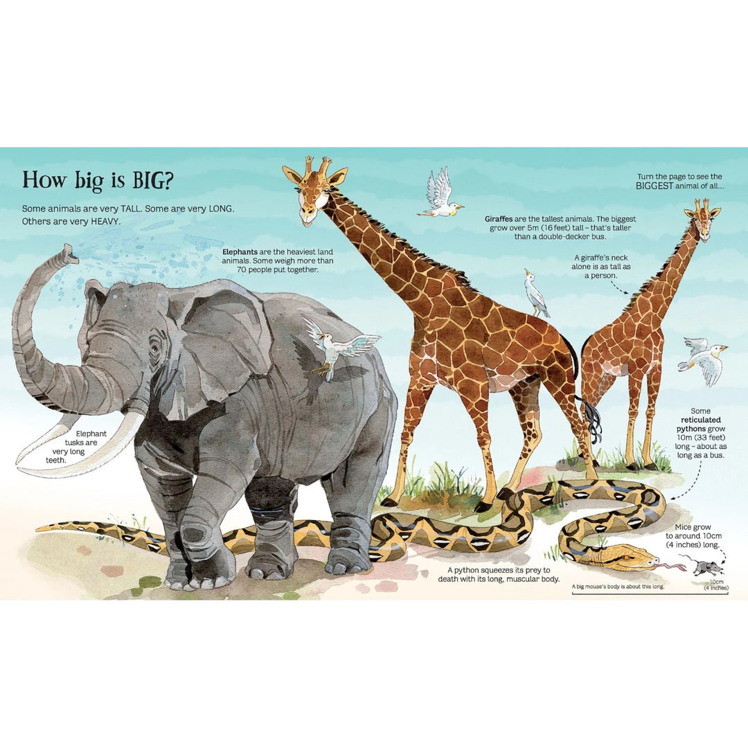 Libro Didáctico Desplegable de Animales Para Niños