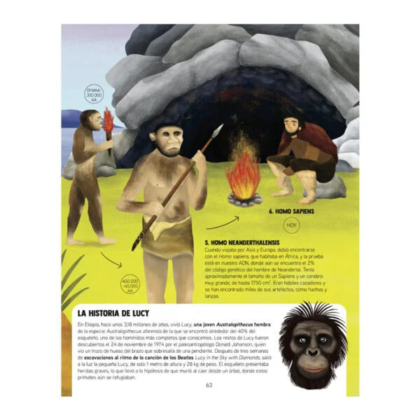 Libro Ilustrado Evolución de los Animales Lexus Para Niños
