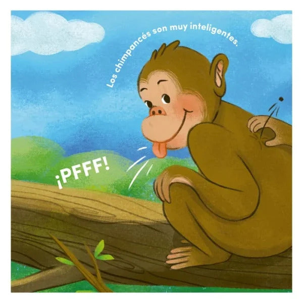 Libro Didáctico Todo Sobre  Animales De La Selva Para Niños