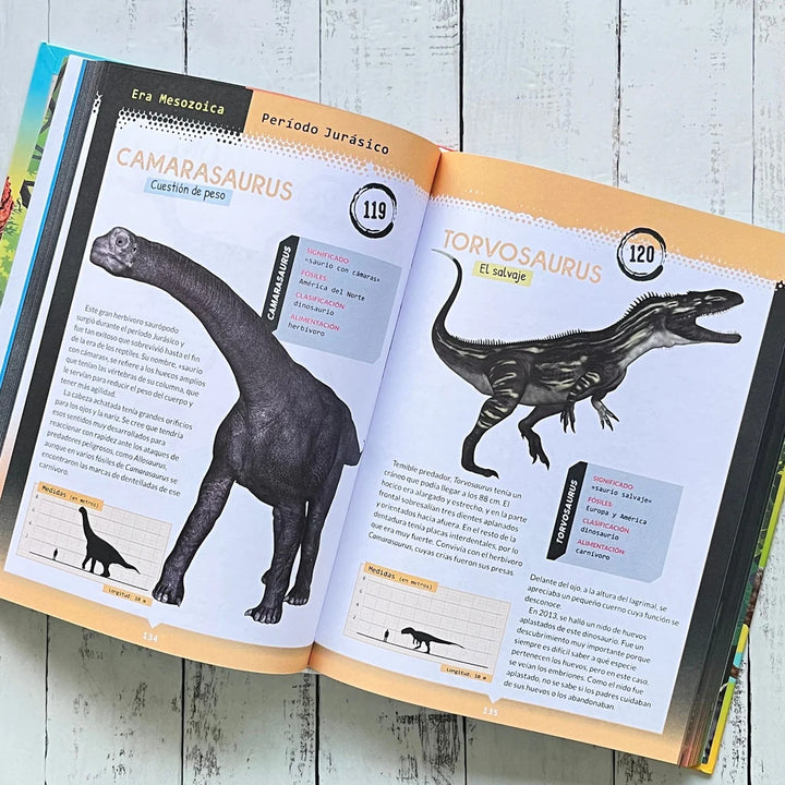 Libro Ilustrado Dinosaurios y Animales Prehistóricos Para Niños