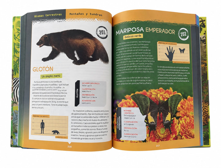 Libro Ilustrado 365 Animales Terrestres y Marinos Para Niños