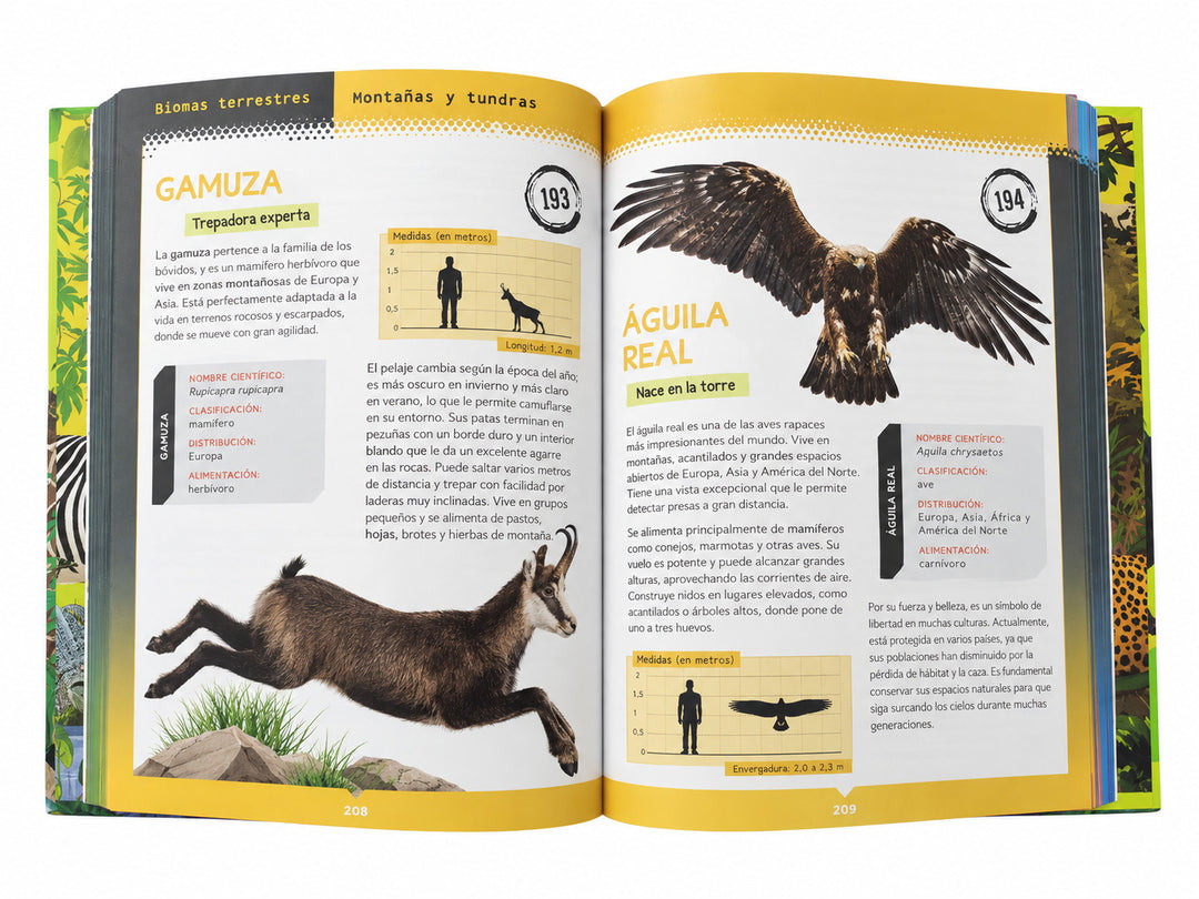 Libro Ilustrado 365 Animales Terrestres y Marinos Para Niños