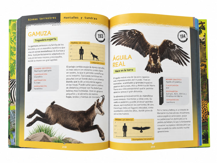 Libro Ilustrado 365 Animales Terrestres y Marinos Para Niños