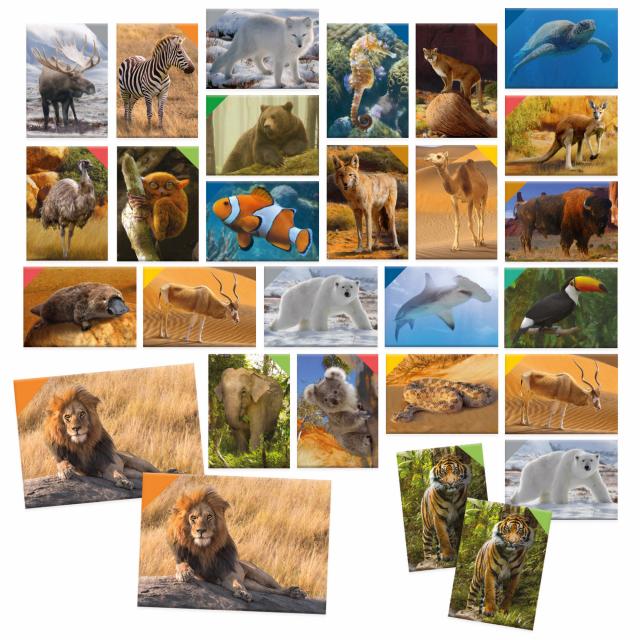 Juego Didáctico Memoria Habitad Animal Para Niños