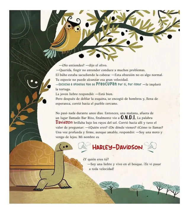 Libro Ilustrado Curiosos Y Divertidos Cuentos Para Niños