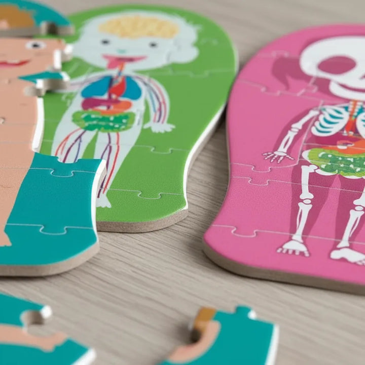 Juego Rompecabezas Del Cuerpo Humano Niños
