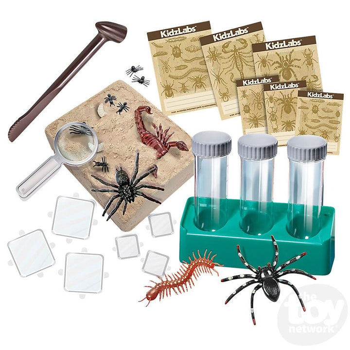 Juego Experimentos Científico Kit Excavación Insectos Niños