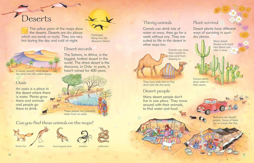 Libro Didáctico Atlas Ilustrado Usbone Para Niños