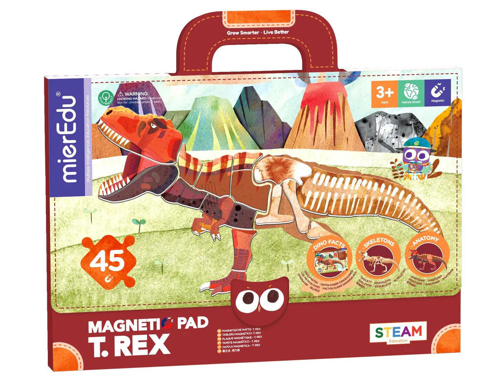 Juego Magnética tiranosaurio Rex Para Niños