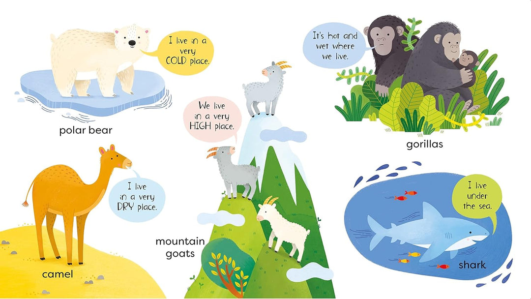 Libro Didáctico Primer Libro Sobre Animales Para Niños