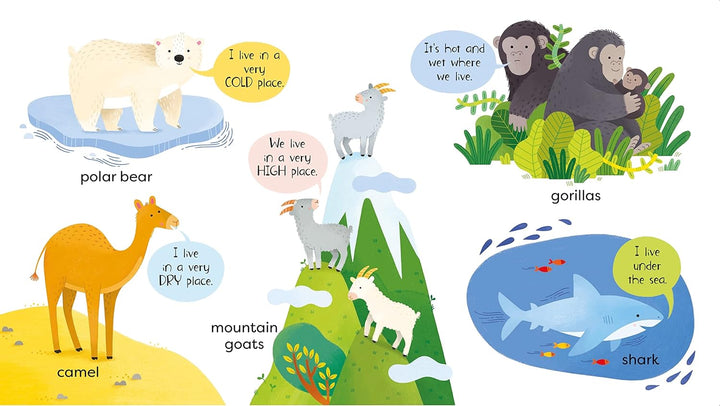 Libro Didáctico Primer Libro Sobre Animales Para Niños