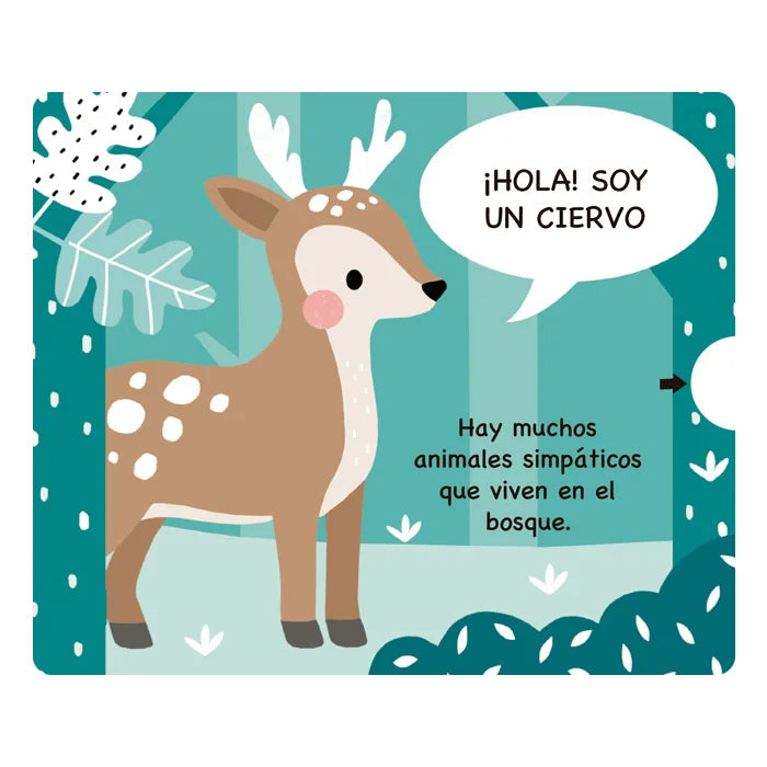 Libro Didáctico Ilustrados Animales Del Bosque Para Niños