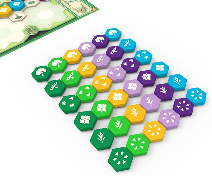 Juego De Mesa Azul Jardín De La Reina Para Niños Familiar