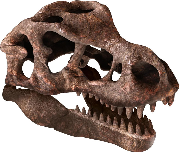 Juego Cráneo Gigante T-rex Para Niños
