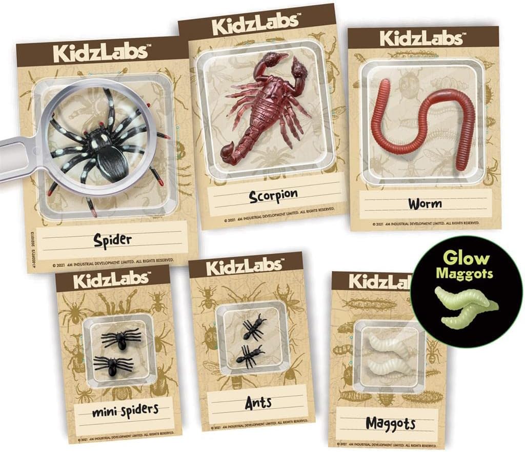 Juego Experimento Excavación Insectos