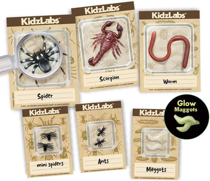 Juego Experimento Excavación Insectos