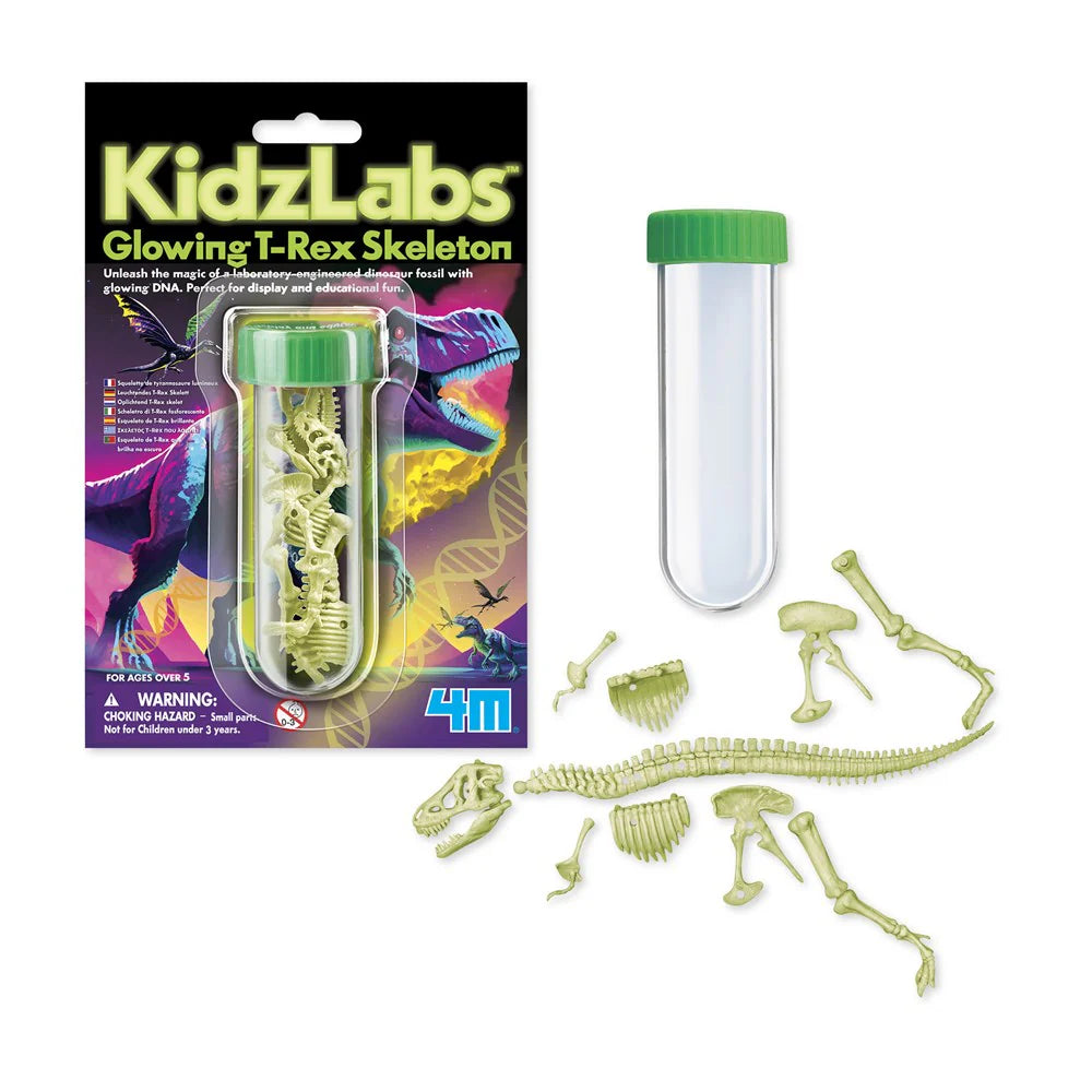 Juego Esqueleto T Rex Brilla En Oscuridad 4 M Para Niños