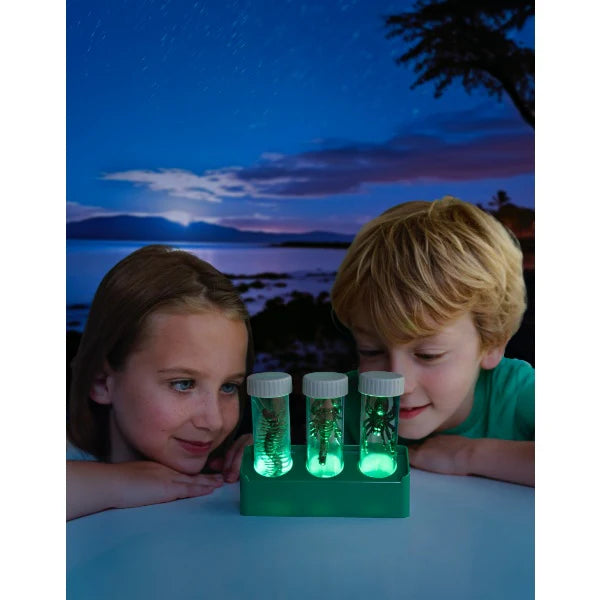 Juego Experimentos Científico Kit Excavación Insectos Niños