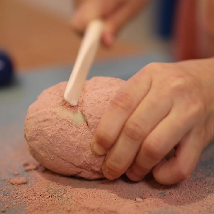 Juego Experimentó Diente De Tiburón Para Niños