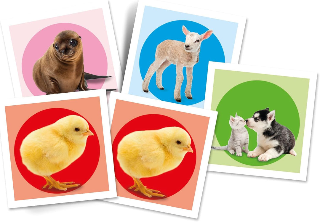 Juego Memoria Animales 48 Cartas Para Niños