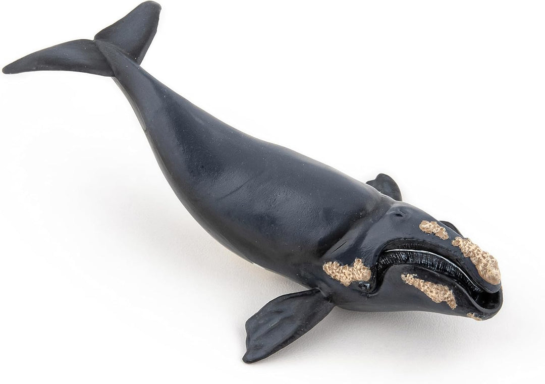 Figura Coleccionable Ballena Boreal Papo