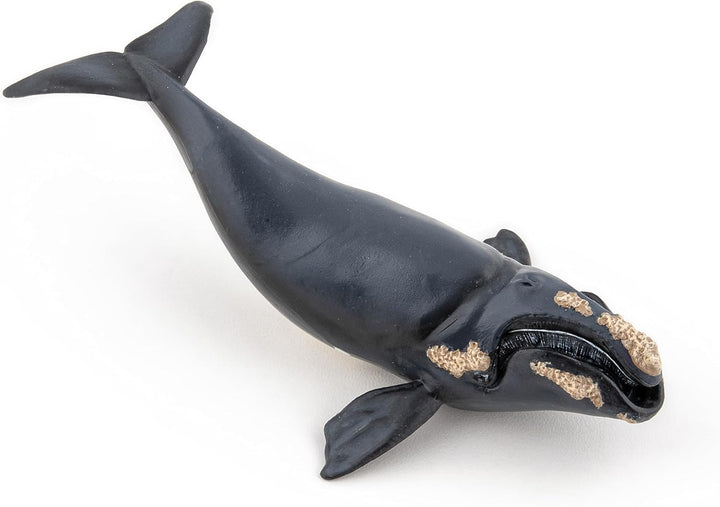 Figura Coleccionable Ballena Boreal Papo