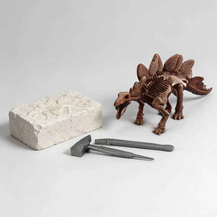Juego De Ciencia Kit Excavación Stegosaurus Realidad Niños