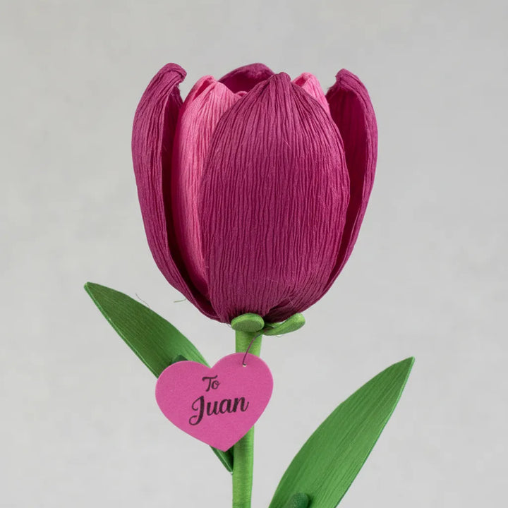 Juego Científico Creativo Flores Tulipanes Para Niños Niñas