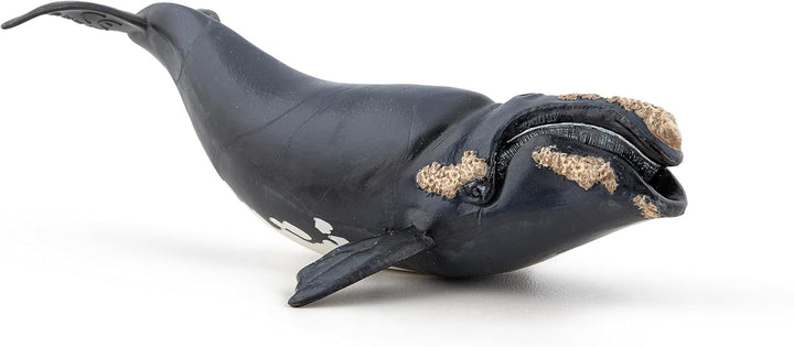 Figura Coleccionable Ballena Boreal Papo