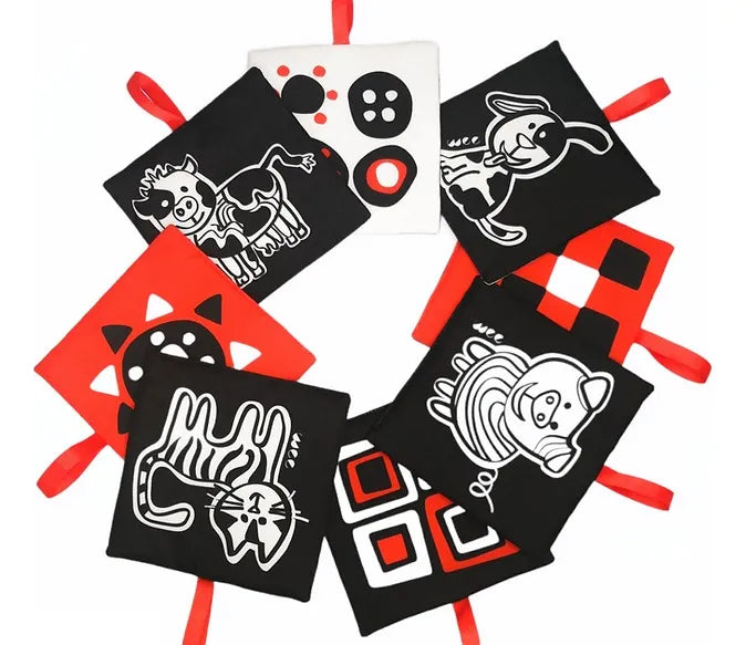 Mis Primeras Tarjetas Didácticas Sensoriales