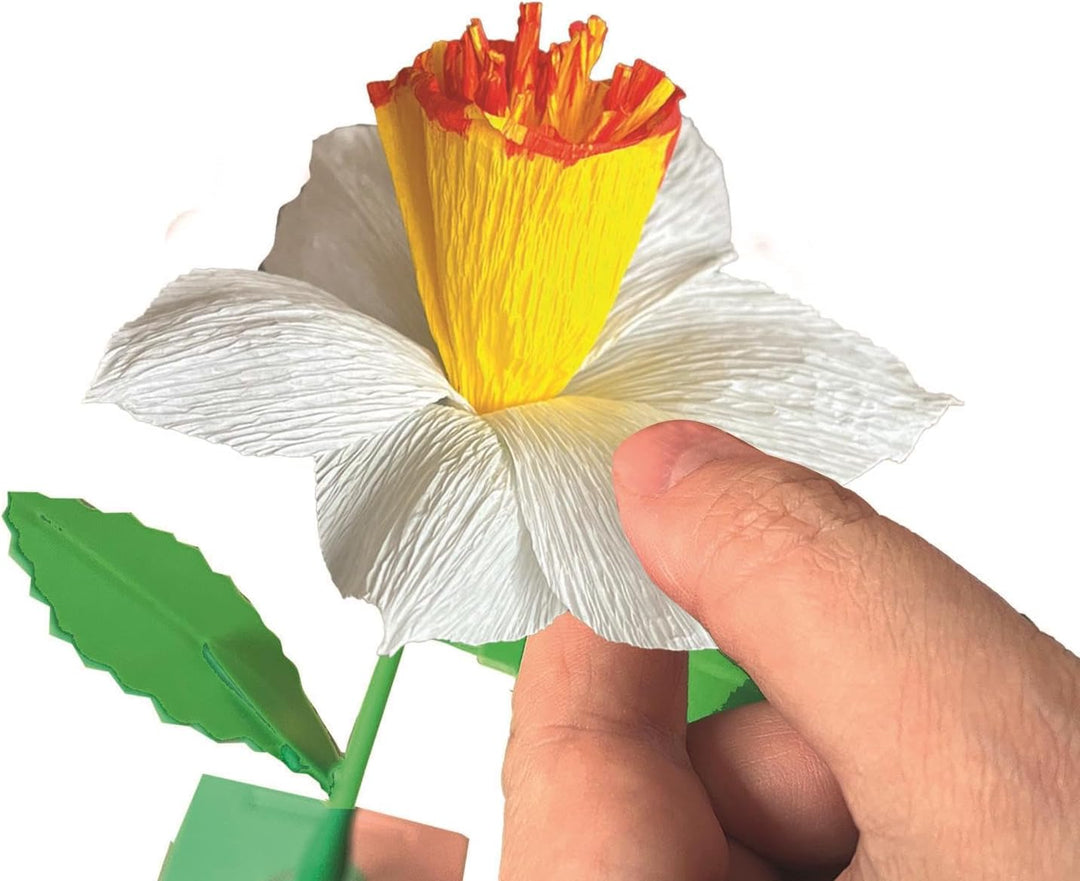 Juego Científico Creativo Flores Narcisos Para Niños Niñas