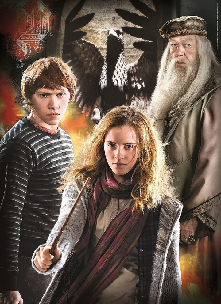 Rompecabezas 3x1000 Piezas Harry Potter