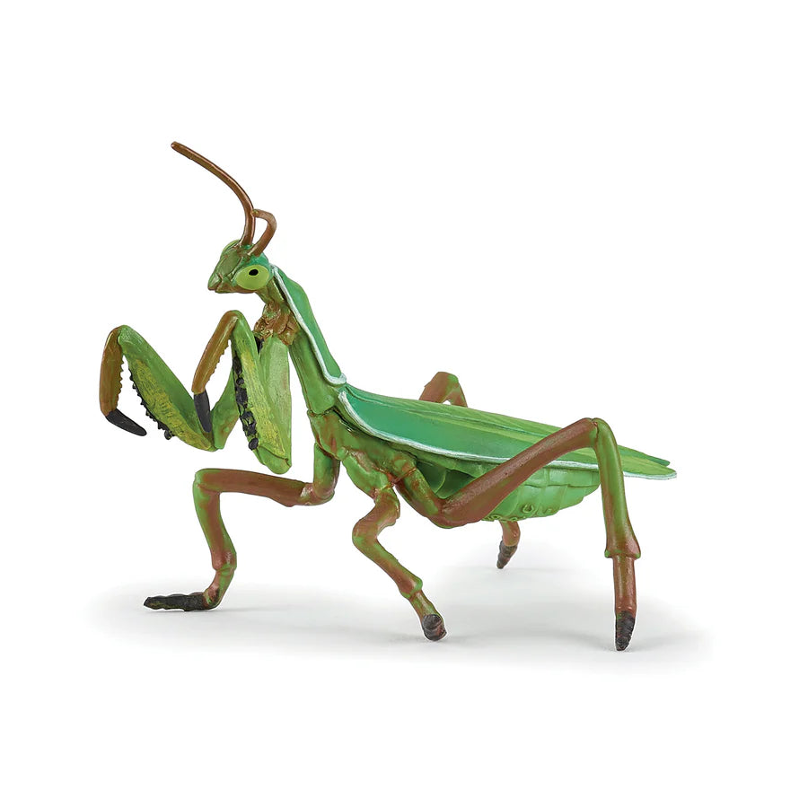 Figura Coleccionable Mantis Religiosa Papo Para Niños Adultos
