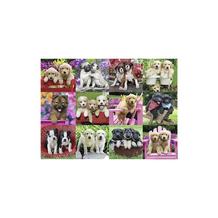 Rompecabezas Cachorros  500 Piezas Ravensburger