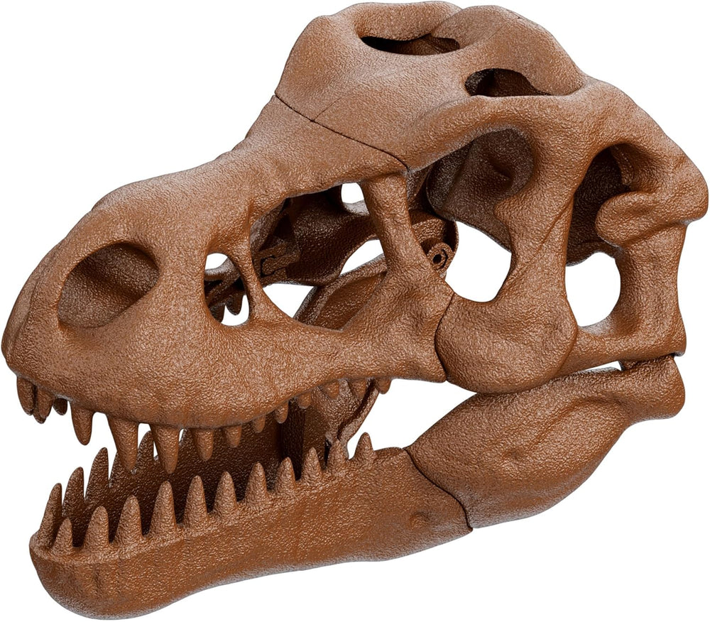 Juego Cráneo Gigante T-rex Para Niños