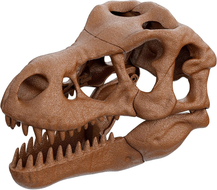 Juego Cráneo Gigante T-rex Para Niños