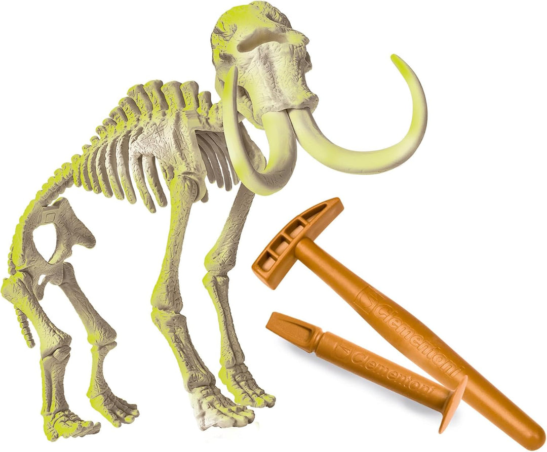 Juego Didáctico Fósiles De Mamut Niños