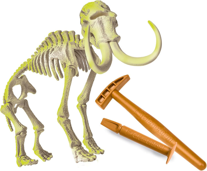 Juego Didáctico Fósiles De Mamut Niños