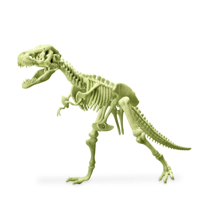 Juego Esqueleto T Rex Brilla En Oscuridad 4 M Para Niños