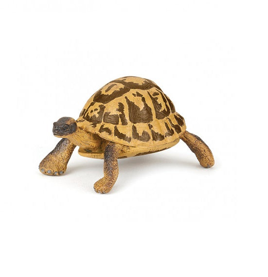 Figura Coleccionable Tortuga Hermann Pintado A Mano Papo
