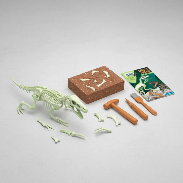 Juego Didáctico Fósiles De Velociraptor Niños