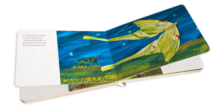 Libro El Grillo Silencioso De Eric Carle Niños